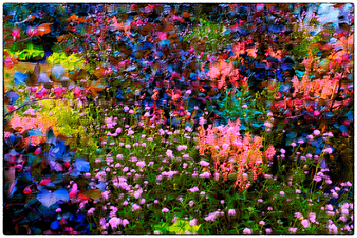 Flowers Mark Hilliard color Fine Art Photogaphy macro closeup