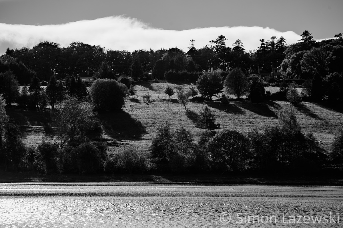 vartry reservoir Ireland Irish landscape landscape photography