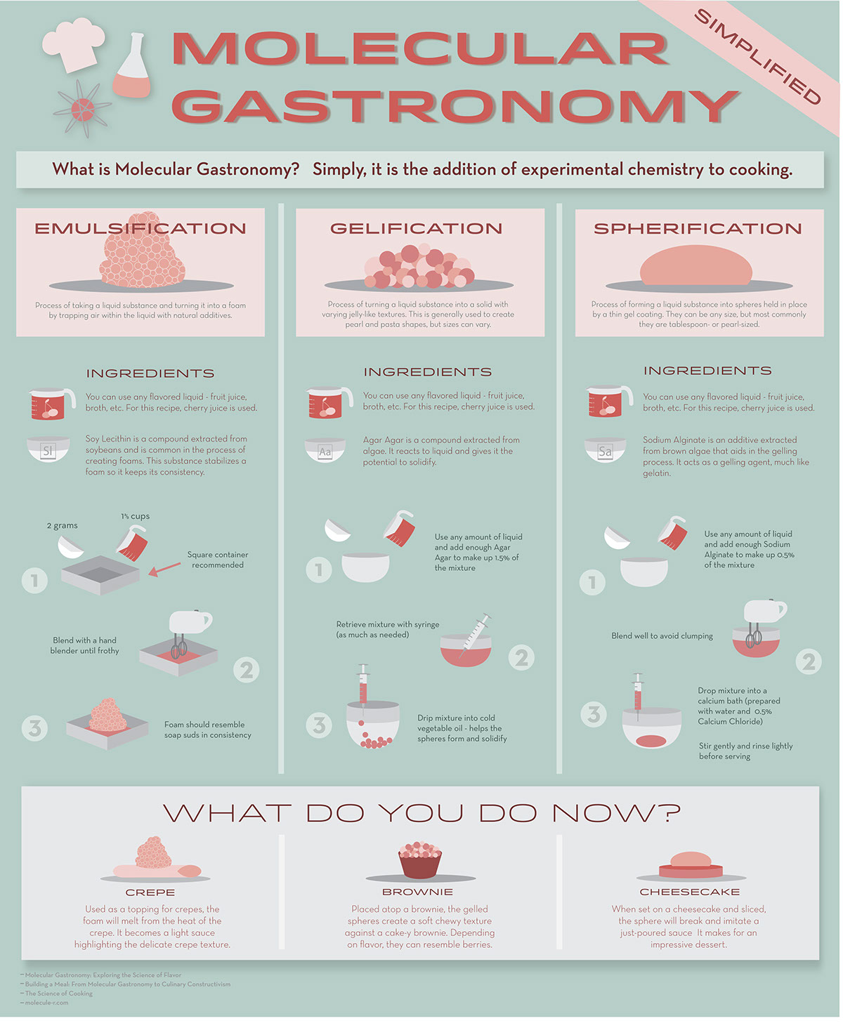 infographic Molecular Gastronomy science cooking Food  information graphic