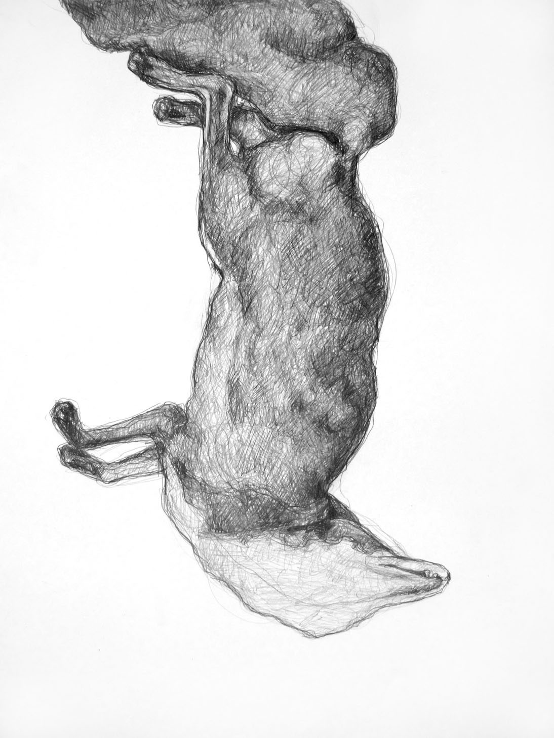 drawing animal pencil