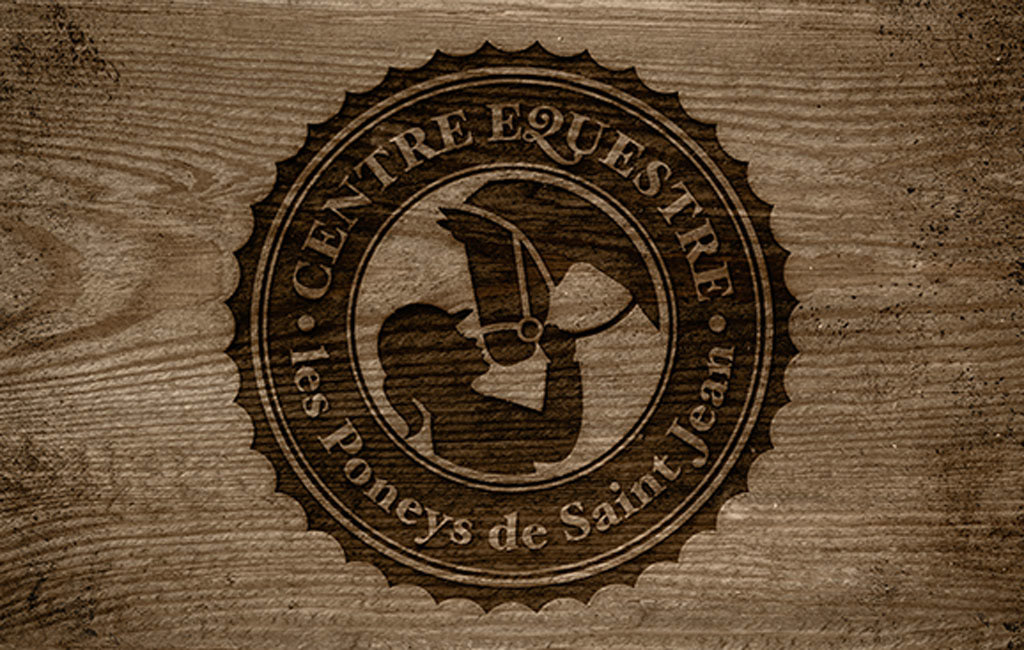 logo Logo Design horse Equestrian logo identity Brand Design logo designer