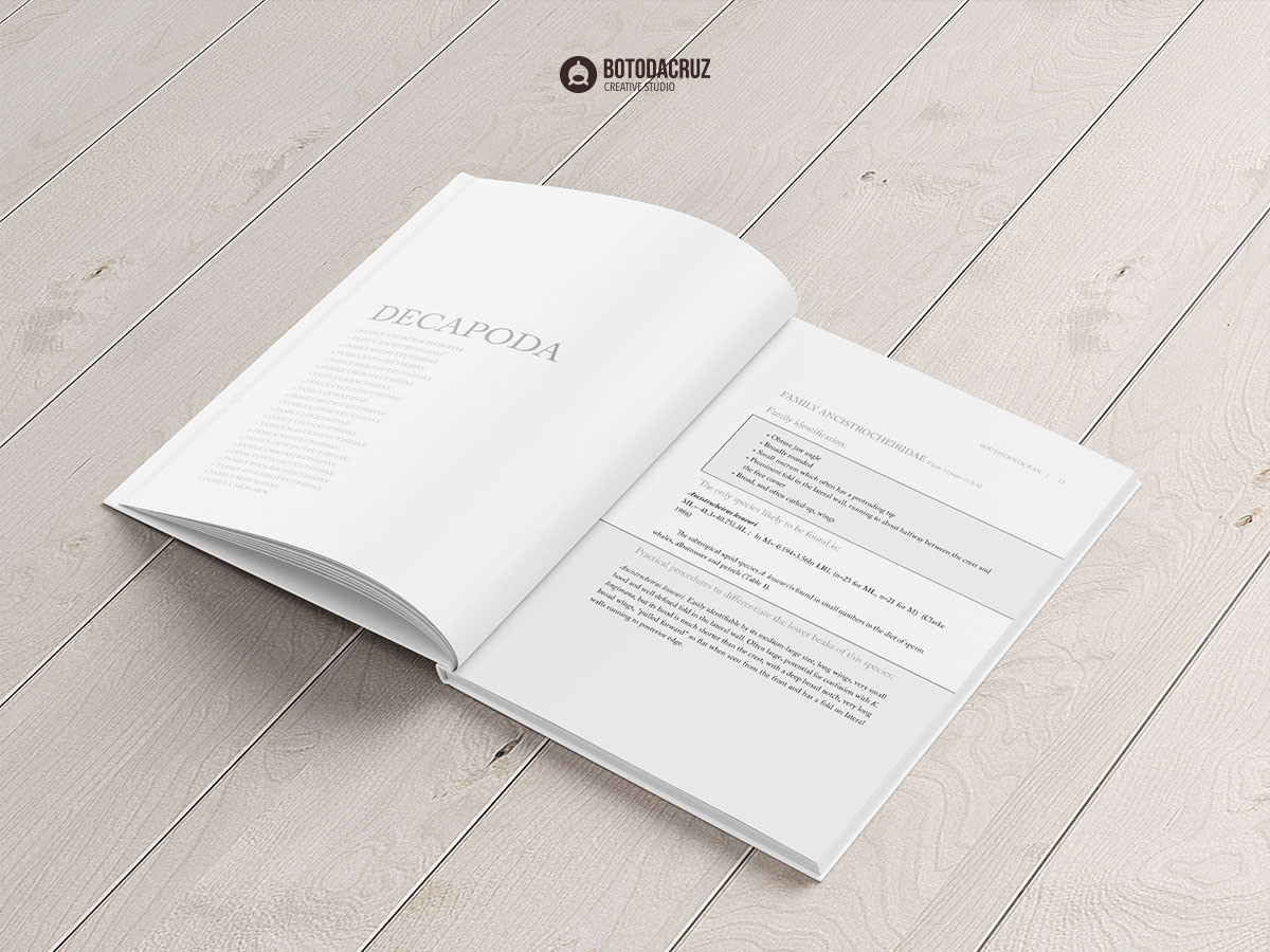 book design gráfico editorial graphic design  Livro