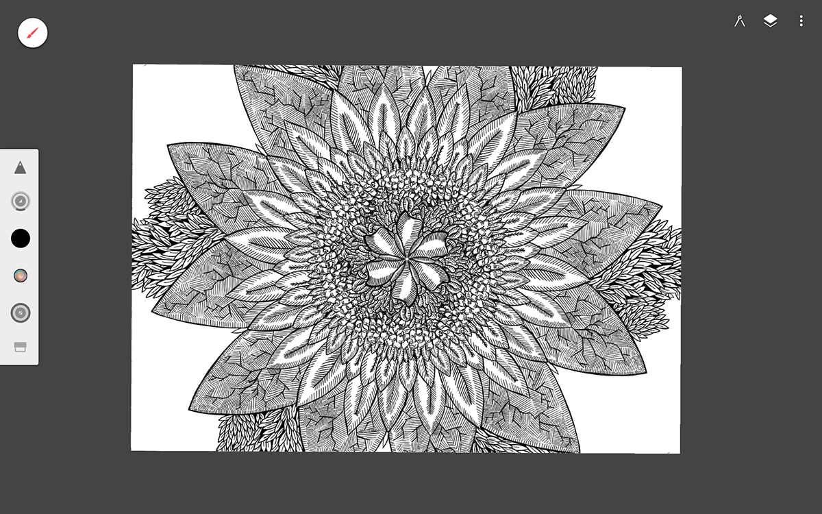flower draw sketch sketching sketchbook Infinite Painter ILLUSTRATION  doodle leaf crazy