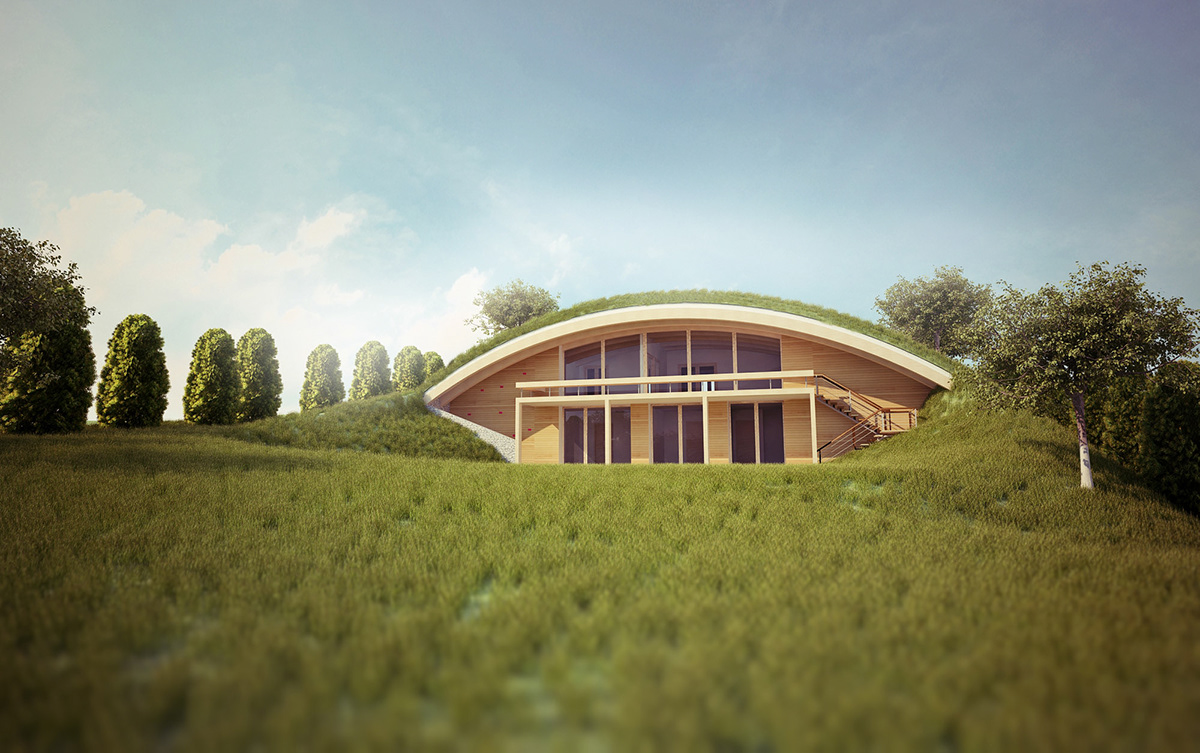 raum Green Roof low budget house