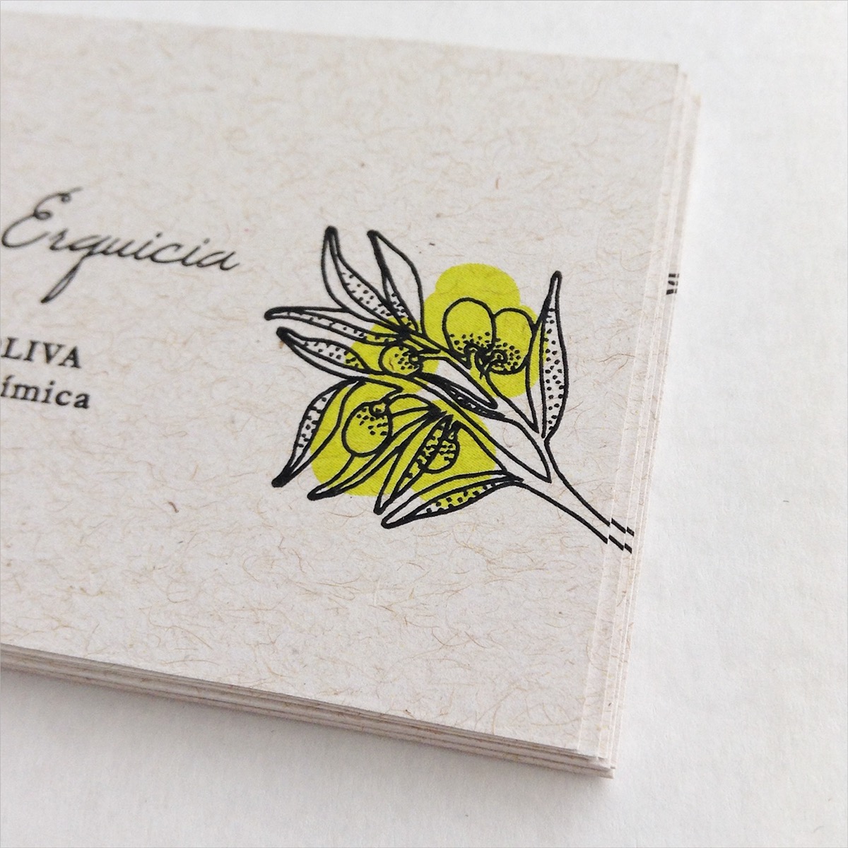 business card Sommelier illustrated wine Olive Oil leaf plants simple design