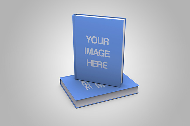 Immigration Misty suspension 3D Book Cover Generator on Behance