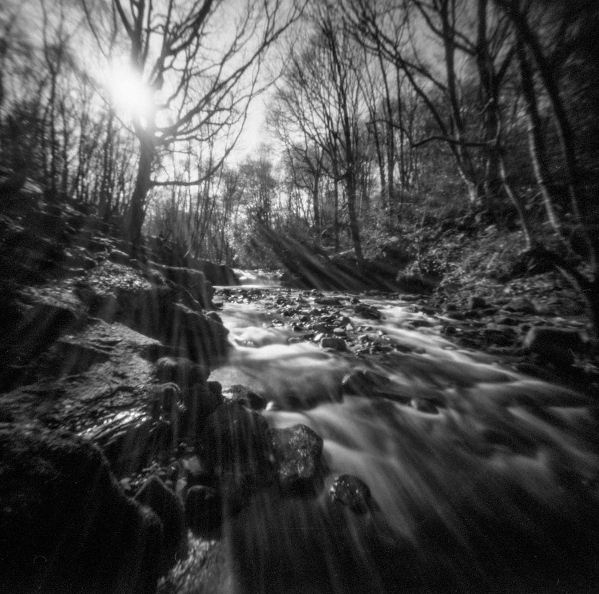 Beck black and white flare Lensless photography monochrome pinhole photography reality so subtlr stream woodland woods