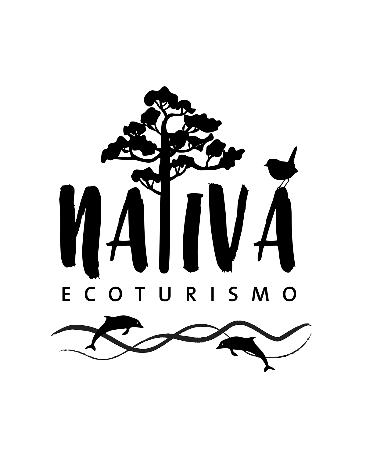 nativa chiloe empresa Turismo Ecoturismo Delfines Chucao Flora fauna coigüe coihue