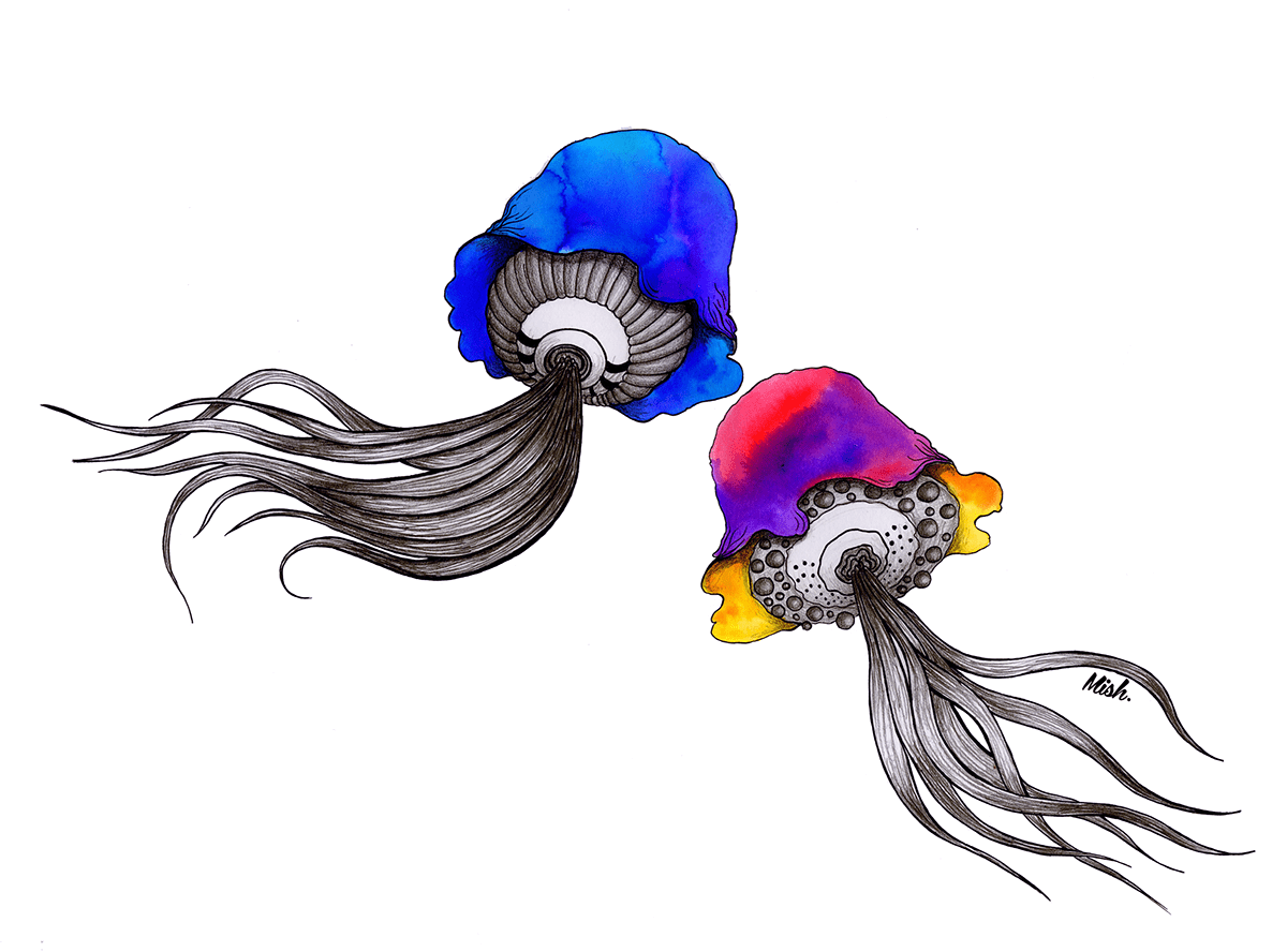monkey jellyfish Watercolours owl leaves