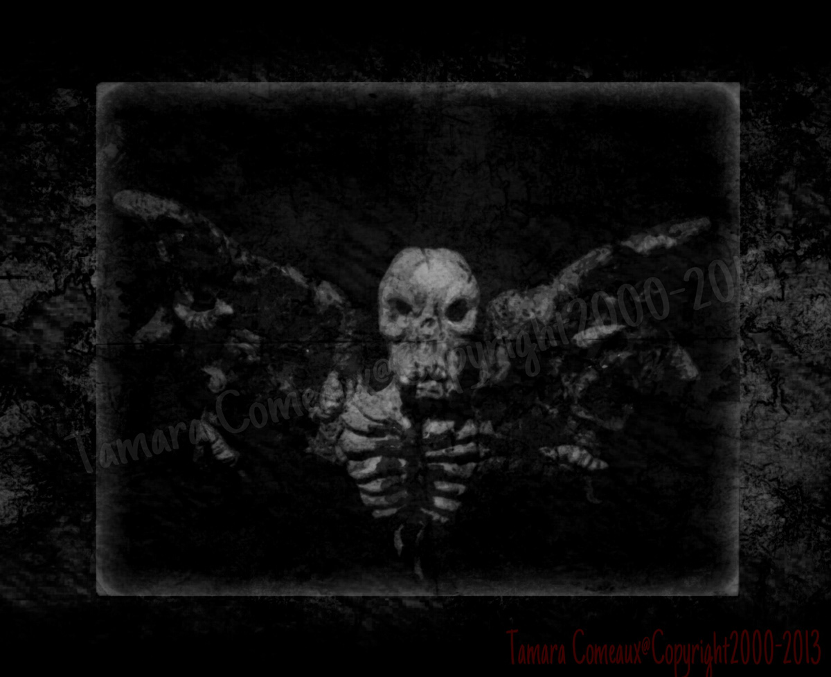 samples prototype horror Halloween graphic Graphic designcd  album cover CD cover cd cover art merchandise image logo art print label design Label
