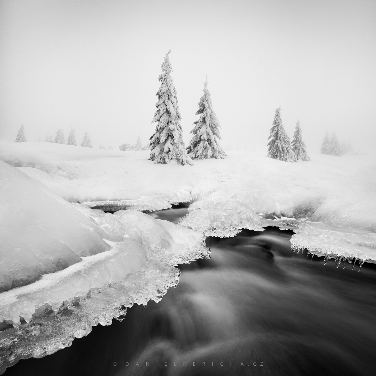 Minimalist view of winter snowy misty  Czech Republic - In the creek 