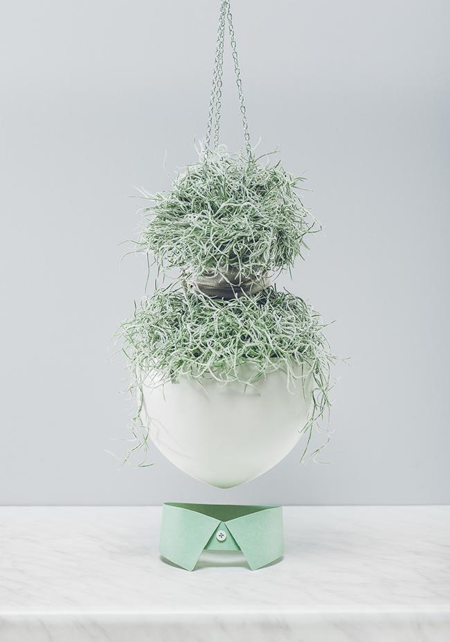 Plant hair green face vegetable hairstyle flower flowerpot
