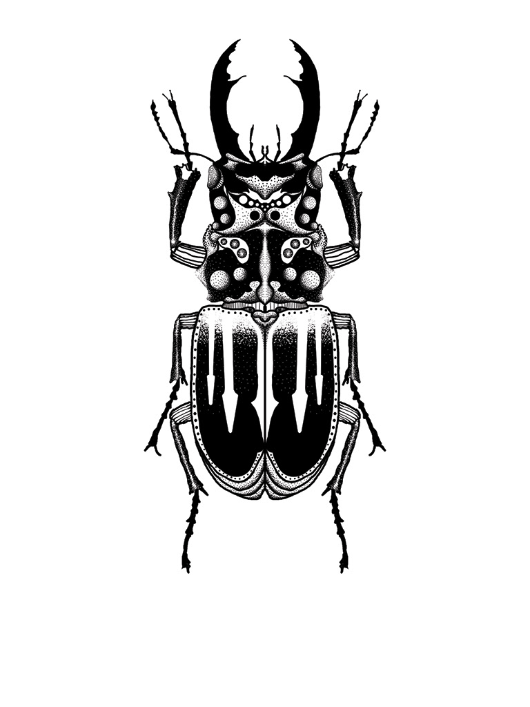 artwork beetle bug Digital Art  digital illustration ILLUSTRATION  insect Mandala Nature photoshop