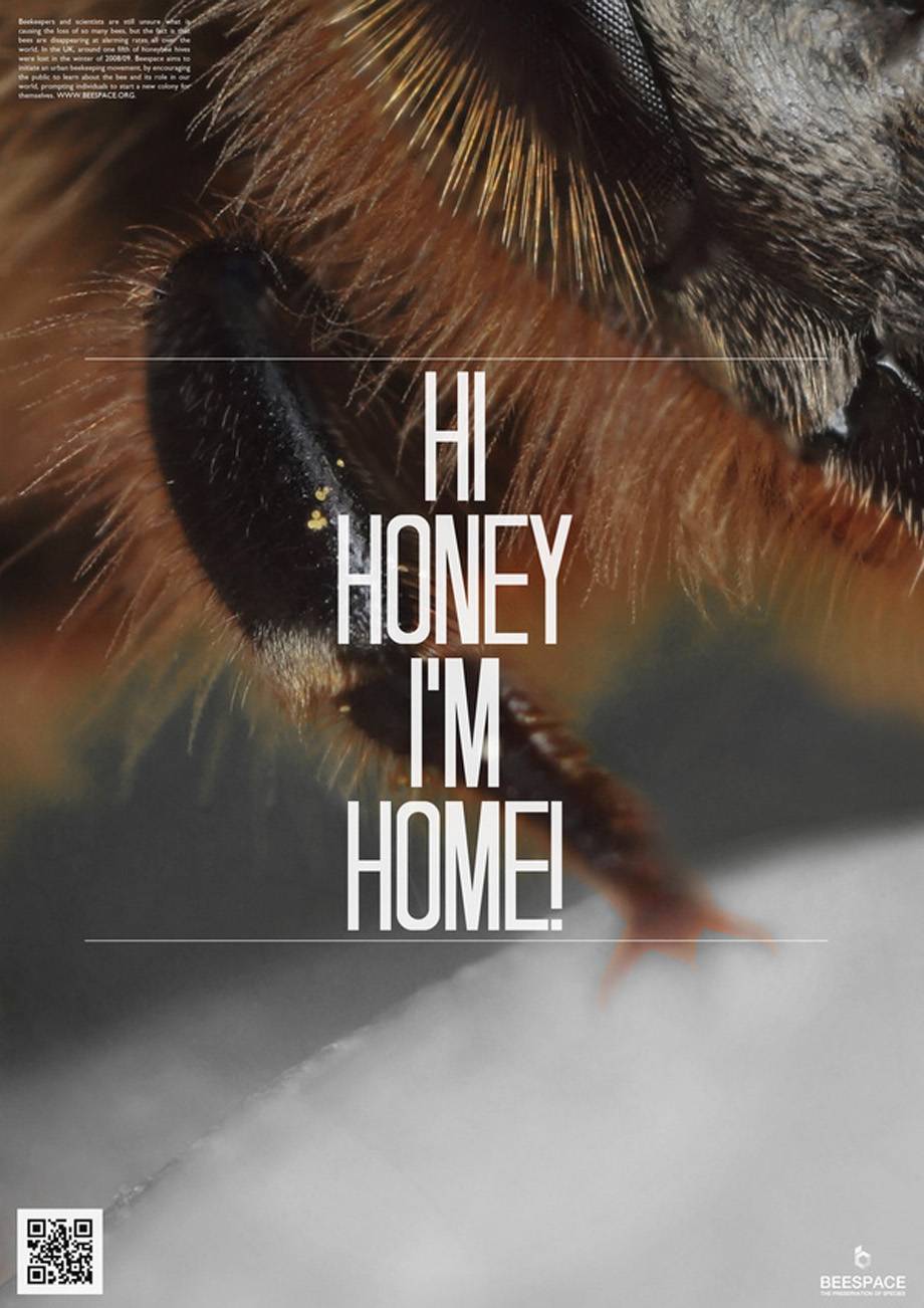 bees honey bee beehive hive wasp wax box type Bumblebee