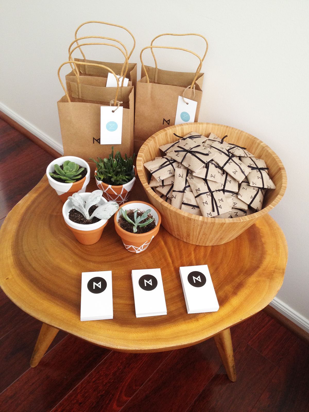promo item Paper Bags Pots painted pots terricota Succulents Self Promo portfolio