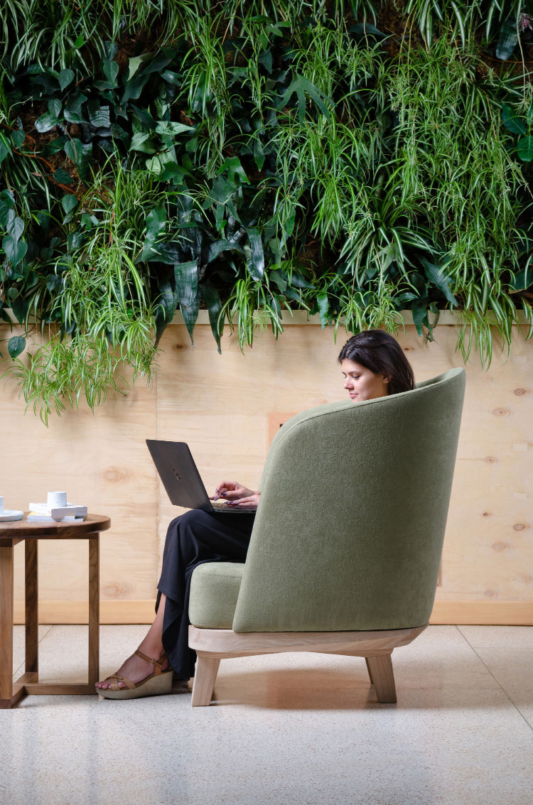 armchair chair design furniture Minimalism decor homedecor green Plant ukraine