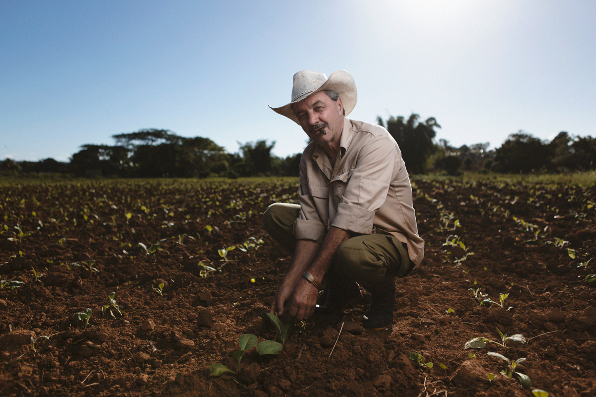 cuba strobist Prodotto Documentary  reportage portrait tobacco