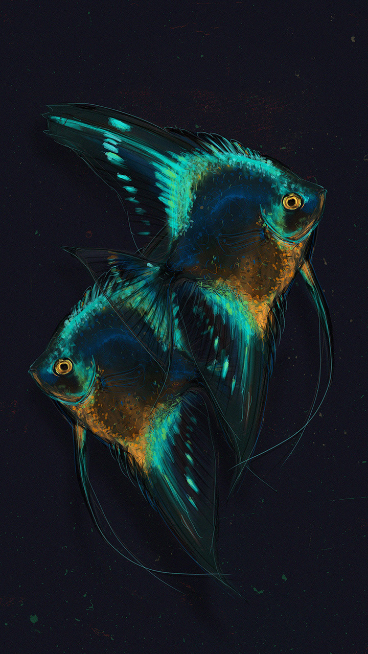 Angelfish fish ILLUSTRATION  orange sketch teal turquoise