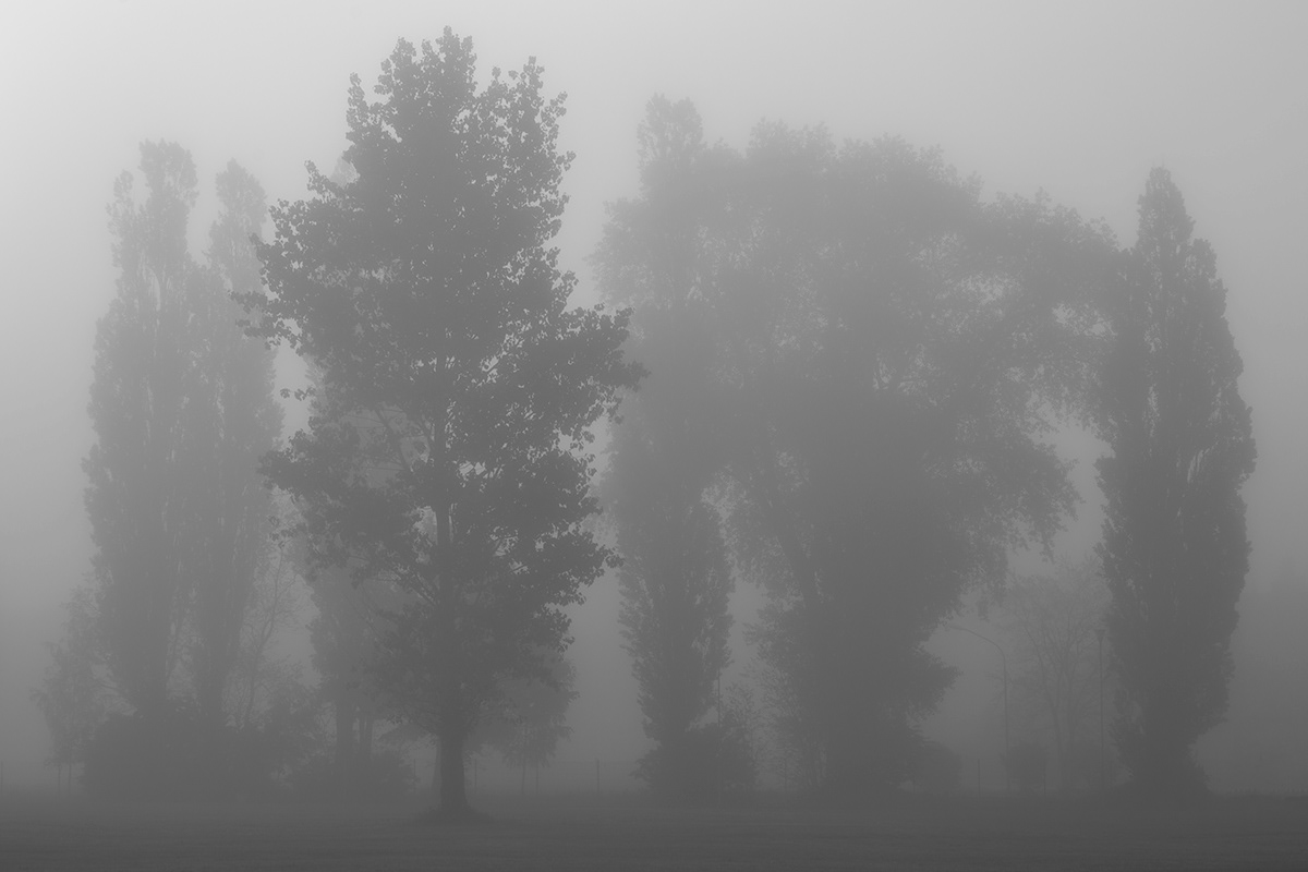 fog landscape photography lietuva lithuania Mindaugas Buivydas mist