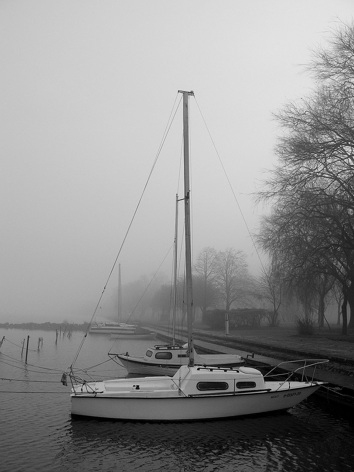 balaton monochrome grayscale black and white lake to hungary fog Kod tel winter