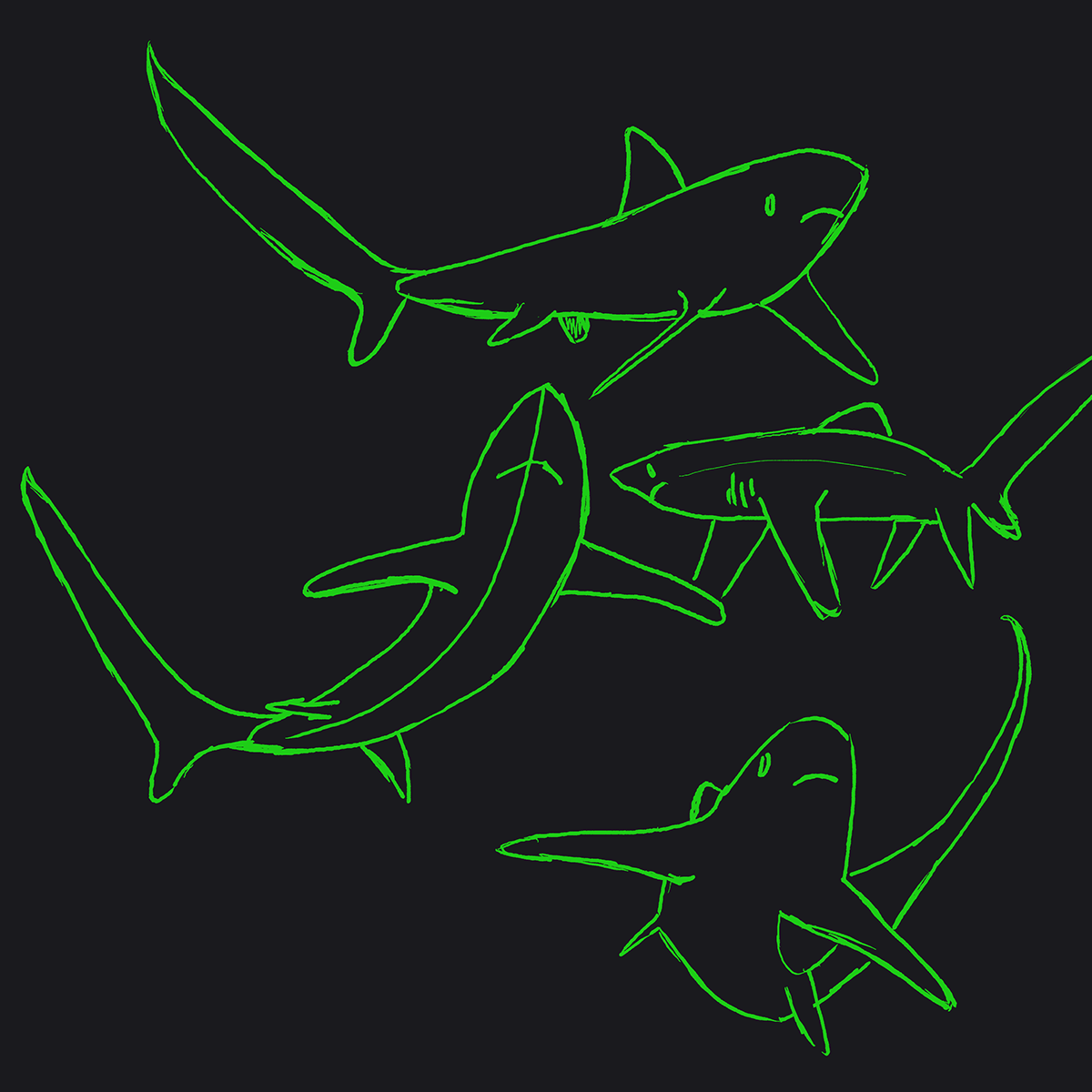 Digital Art  Hammerhead Shark ILLUSTRATION  sharks sketch whale shark