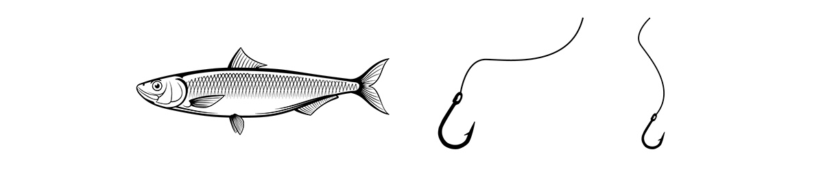 packaging design herring fish finland helsinki Food 