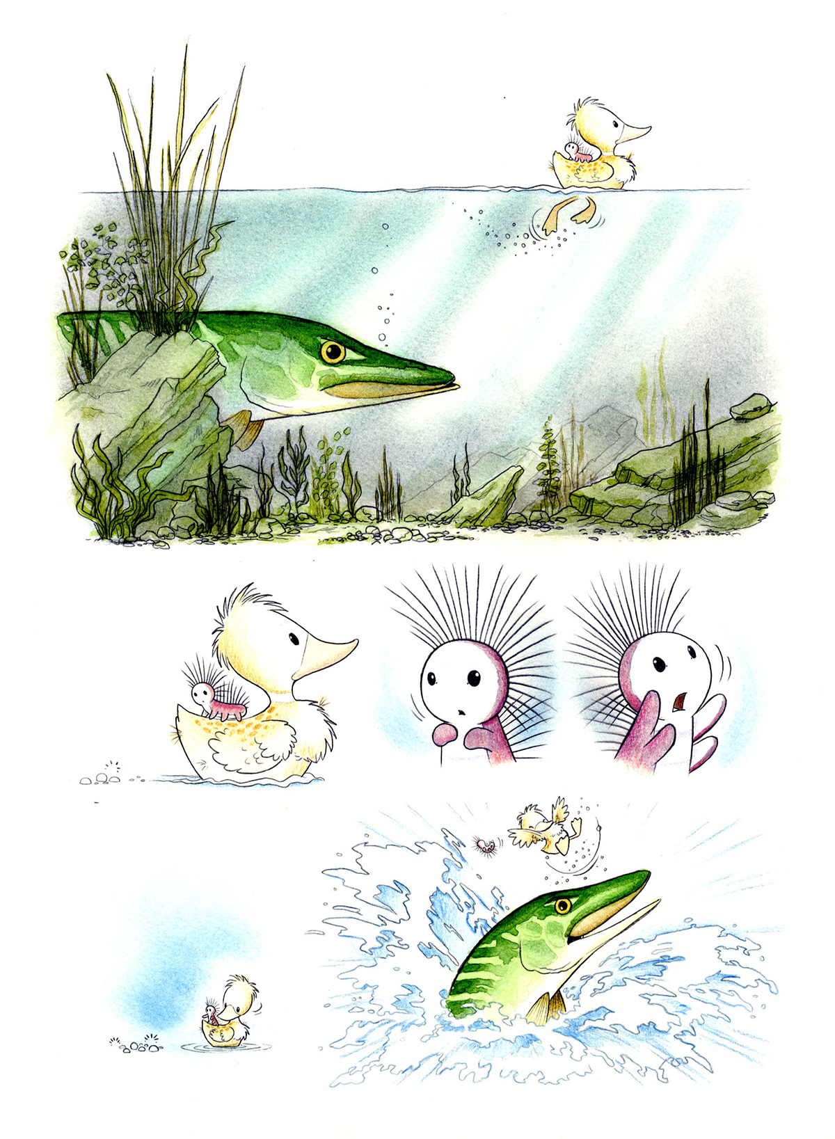 children book Picture duck duckling Caterpillar Beatrix Potter