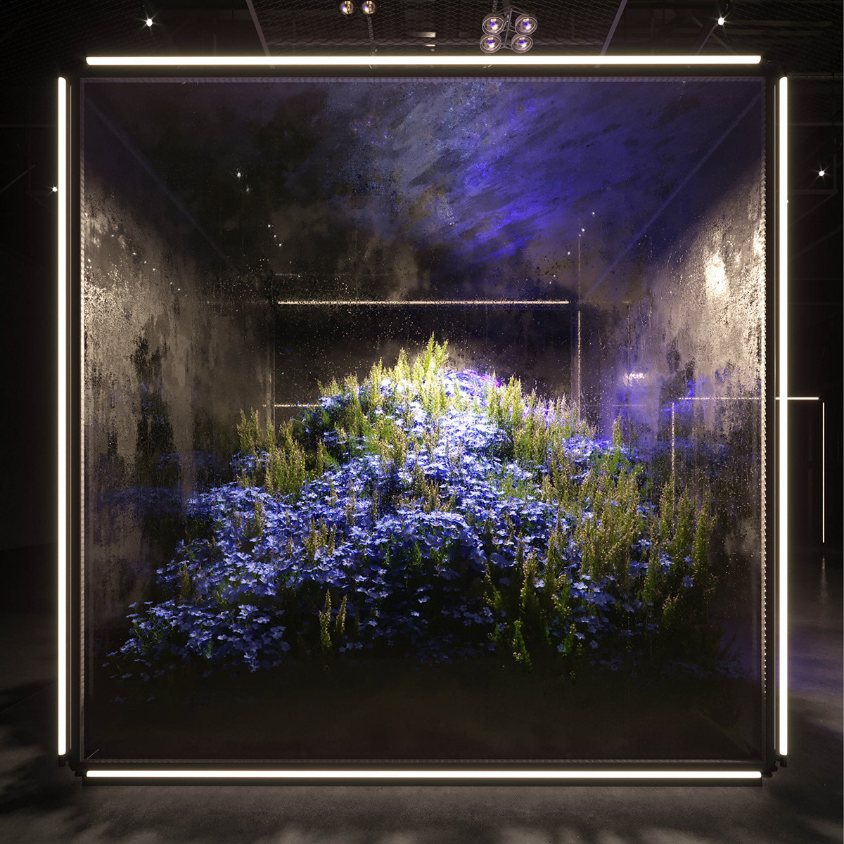 cube Exhibition  Flowers