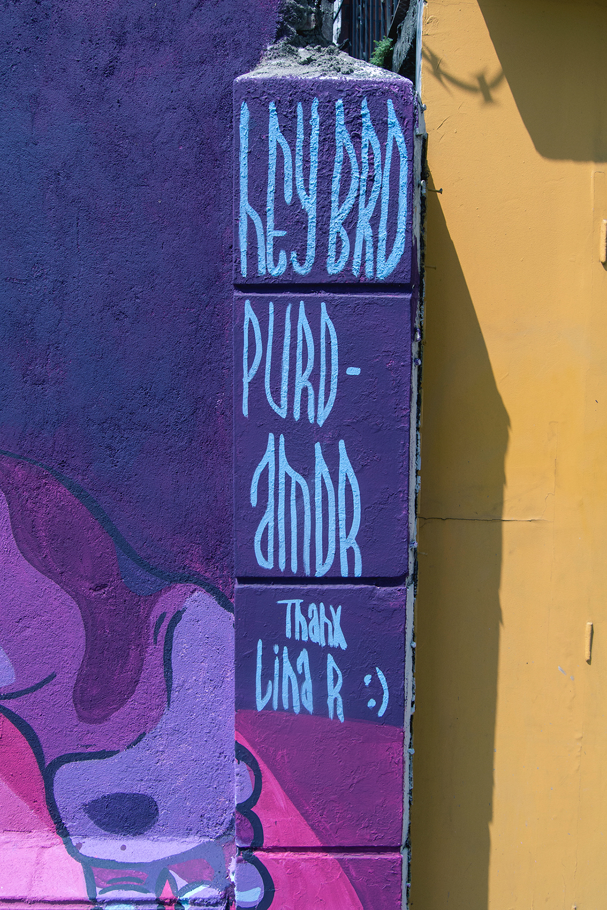 streetart wall Mural lapintoyselacoloreo virgin colombia Urban spray paint hey bro Cali acrylic FOX rabbit psychedelic puro amor