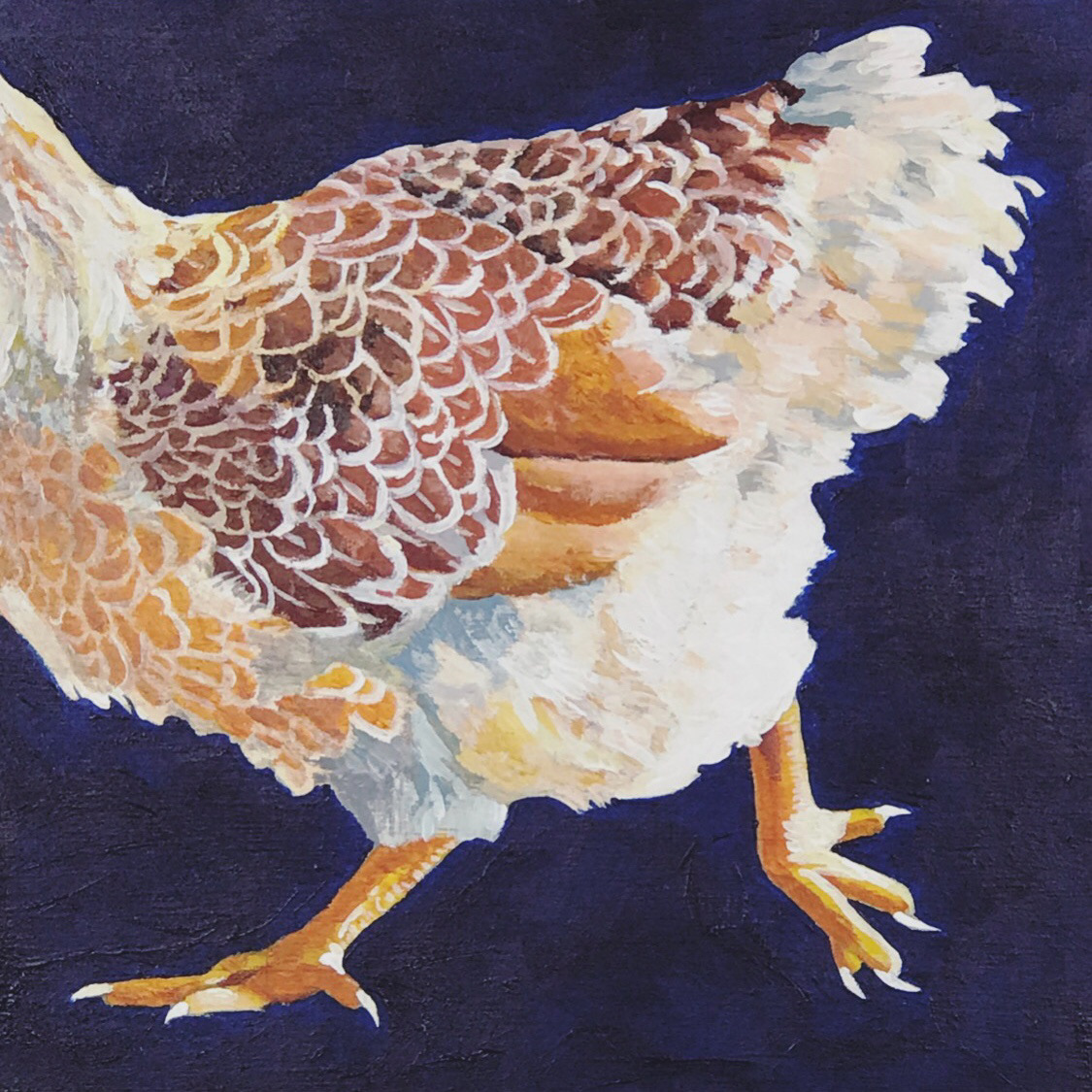 chickens Hens Rooster Paintings cockadoodledoo