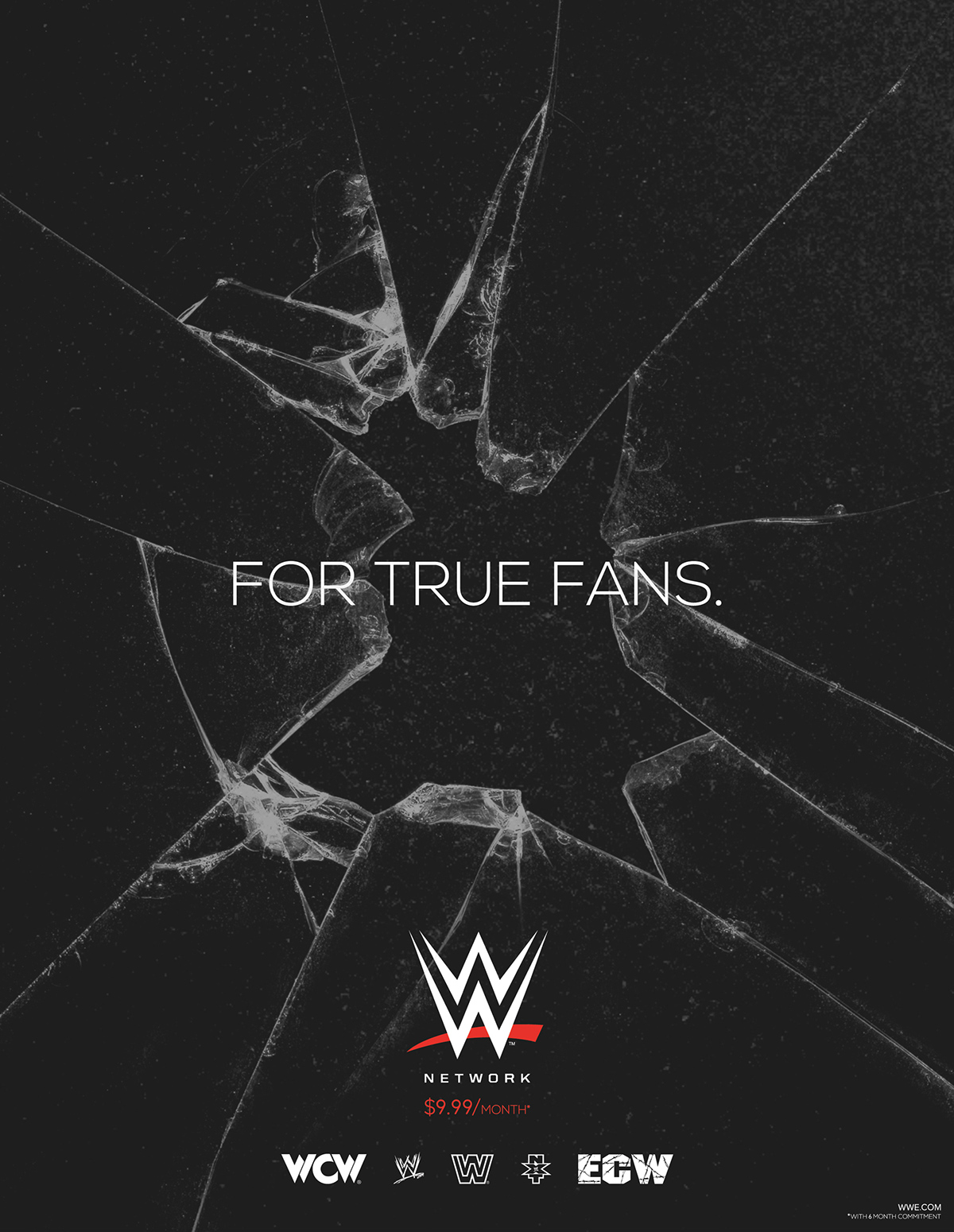 WWE lucha libre print poster logo brand tv Entertainment Wrestling design anúncio afiche publicidad creative corporative