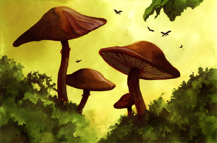 Mushroom Magick Mushrooms abrams