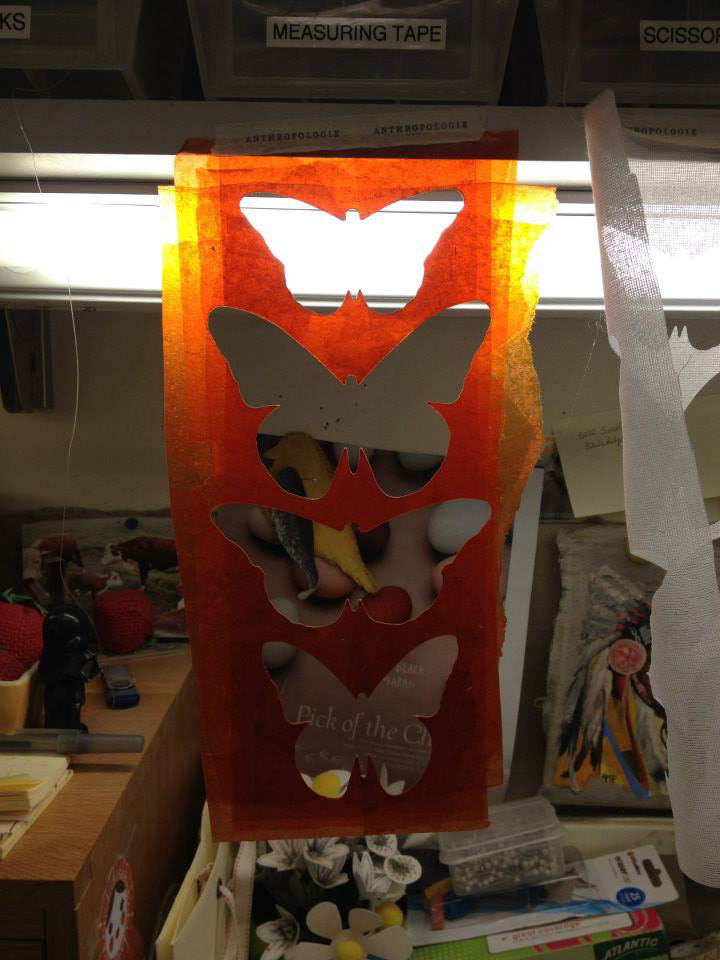 Anthropologie monarch butterfly migration endangered species earth day Window Display visual design internship