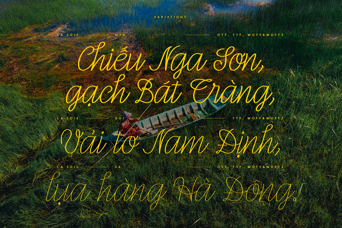 elegant font hanoi LaSoie saigon Script Typeface typography   vietnam vietnamese
