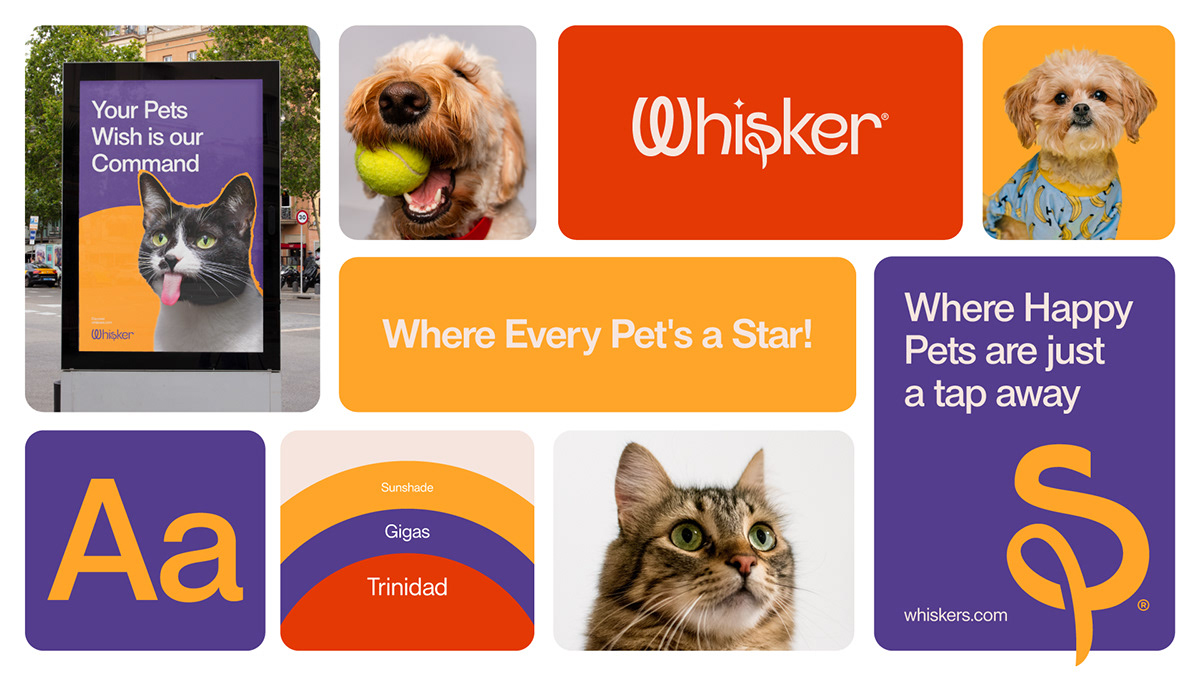 branding  Logo Design visual identity Pet pet food brand identity brand guidelines dog food Cat dog