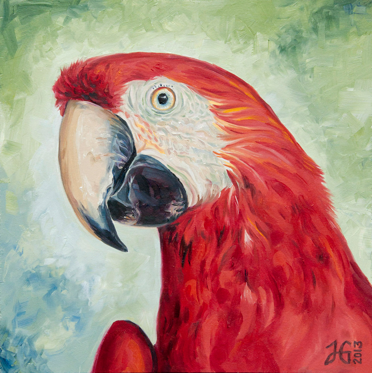 parrot bird red