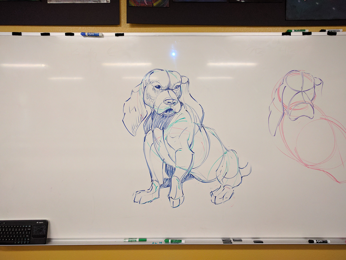 whiteboard Marker expo demonstration classroom tutorial teaching
