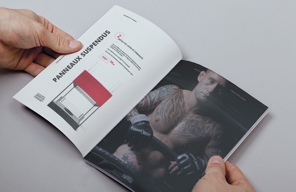 f4p fight pride fight 4 pride Martial Arts MMA Boxing Website Montreal Quebec interactive design brochure fullscreen Awards