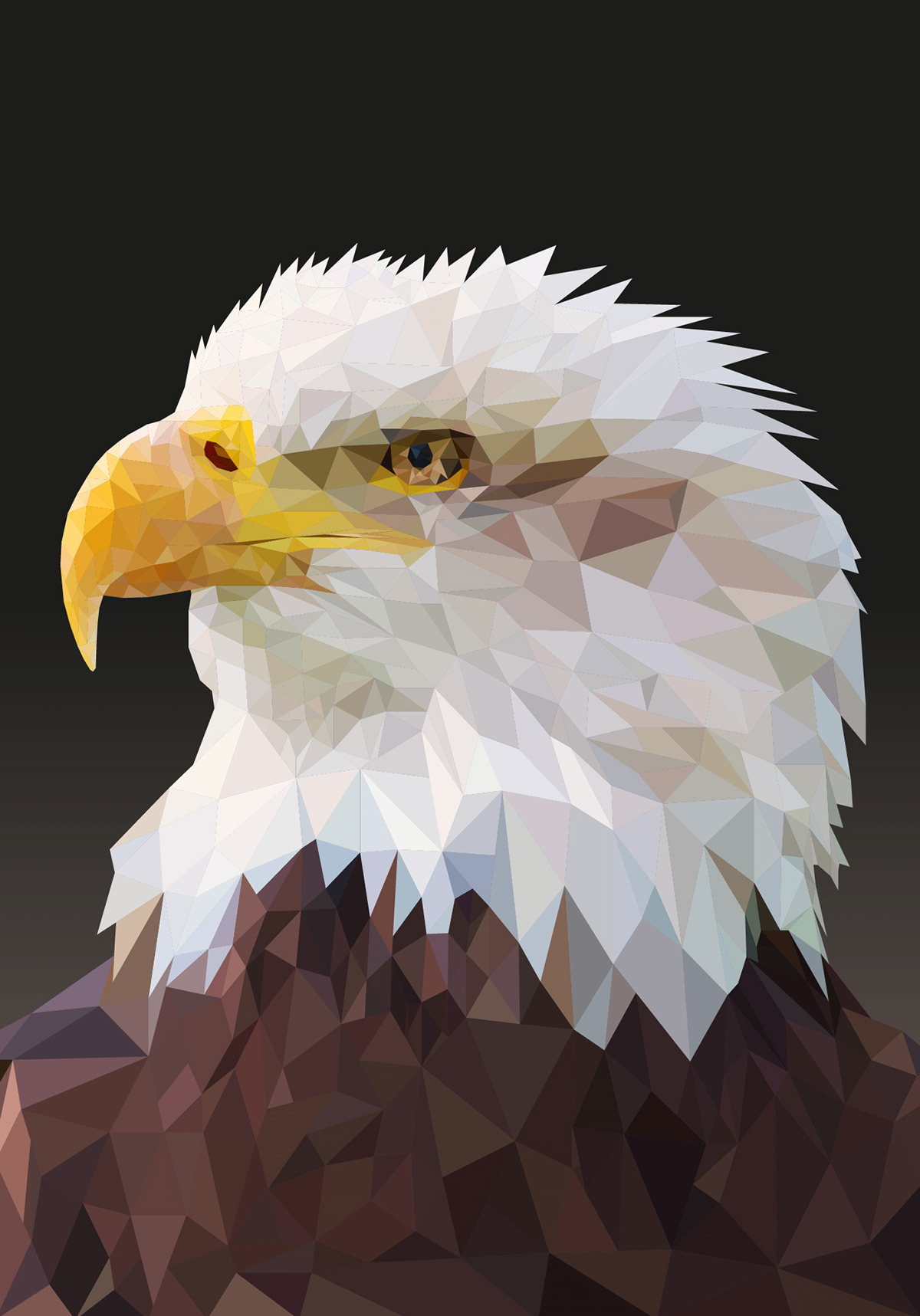animals bird desktop eagle ILLUSTRATION  portrait wallpaper