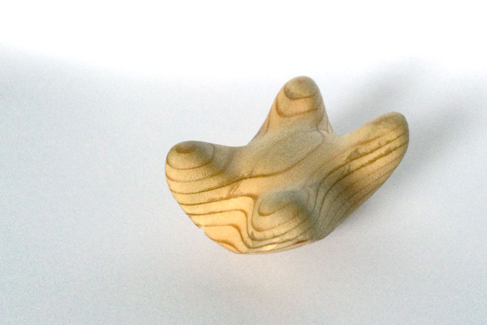 Form wood rendering Solidworks toy animal soap