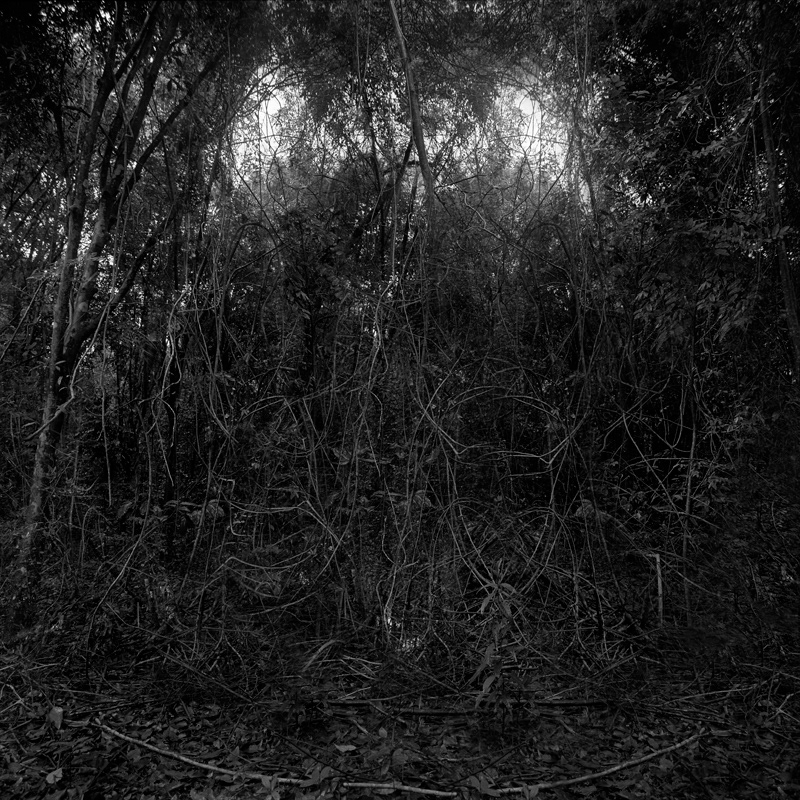 film photography Black and white photography taoism paths Contemporary Landscape singapore self-awareness art contemporary art Environmental Issues urban landscape light