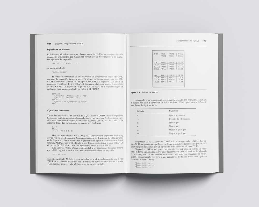 Diseño editorial diseño gráfico libros maquetación Maquetación de libros Mockup