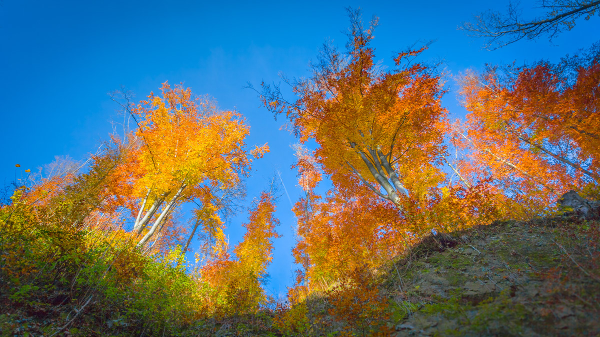 neubeuern stoanmandl wolfsschlucht naturart natur Landschaft Landscape color colorful Farbenfroh autumn herbst Serie