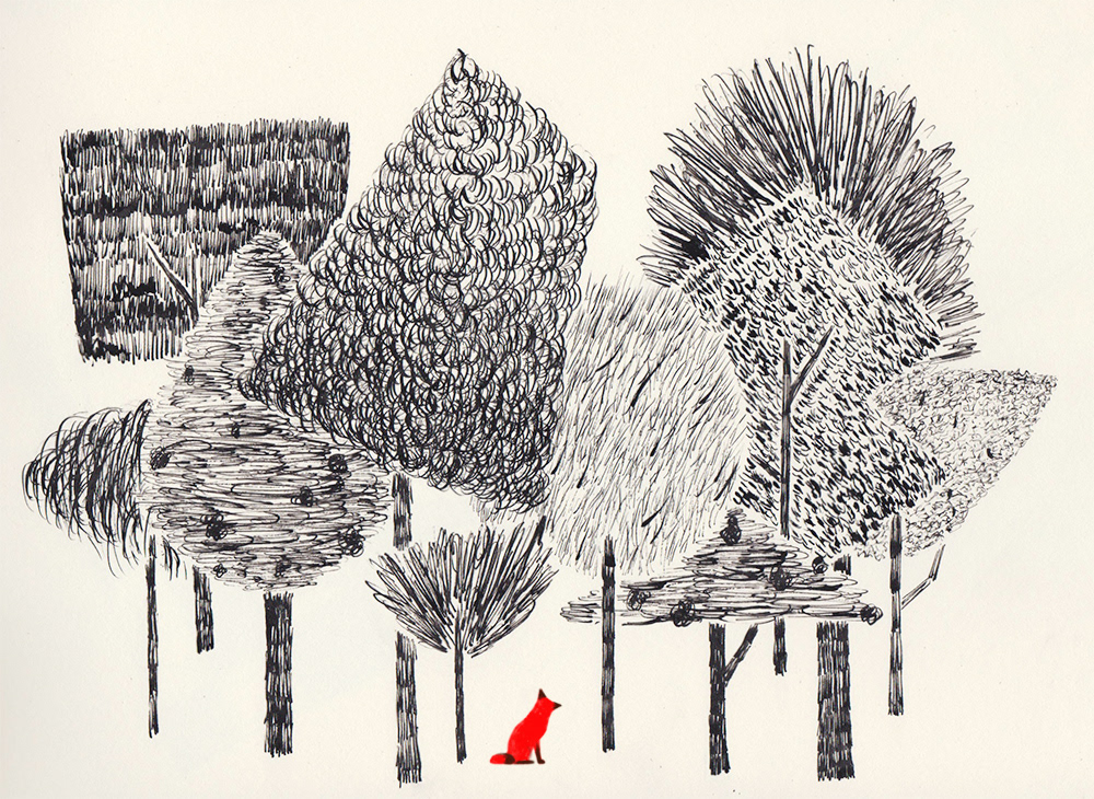 animation  artwork Digital Art  Drawing  forest FOX ILLUSTRATION  pen and ink Tree  walk