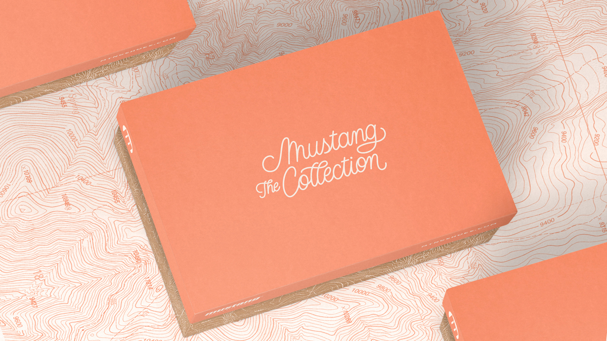 Mustang mtng shoes accessories lettering print box