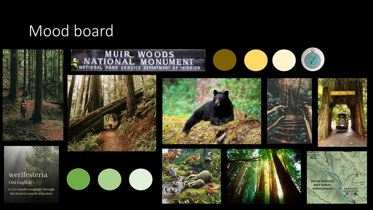 travelposter posterdesign ILLUSTRATION  graphicdesign poster Muirwoods redwood digitaldesign digitalart graphic