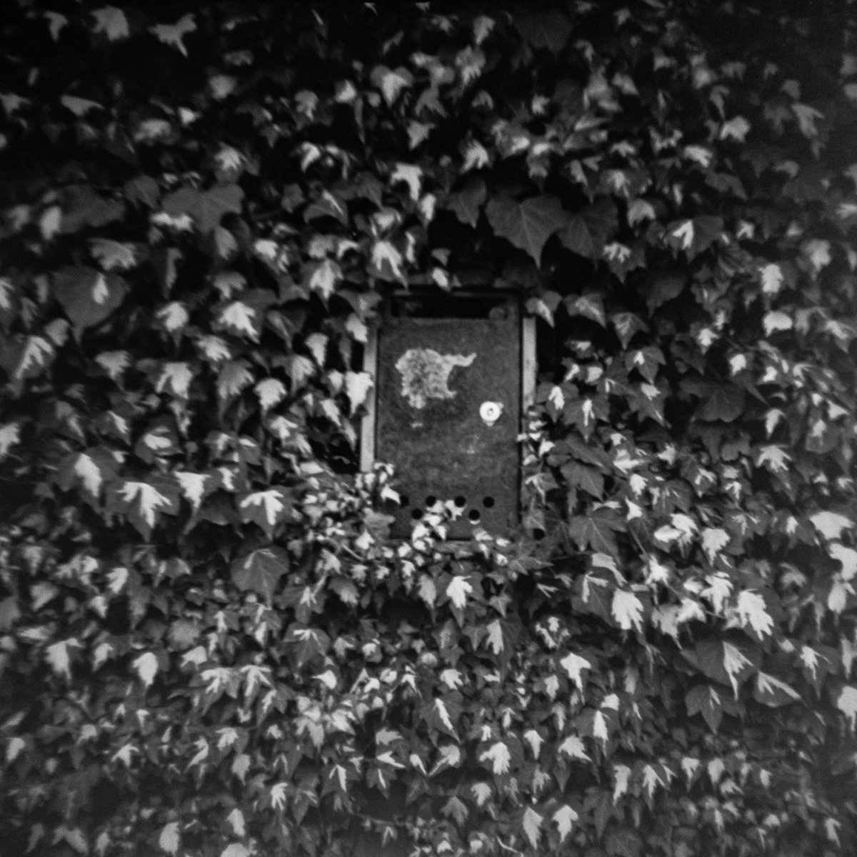 black and white Photography  street photography film photography medium format analog