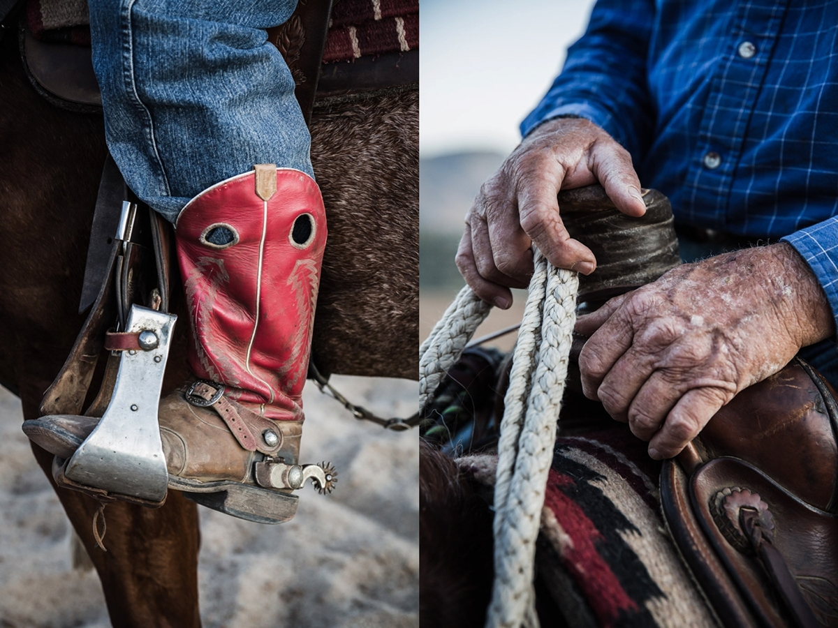 horse equine horsemanship cowboy ranch rodeo farm school horseriding sports equestrian animals pets Documentary  report