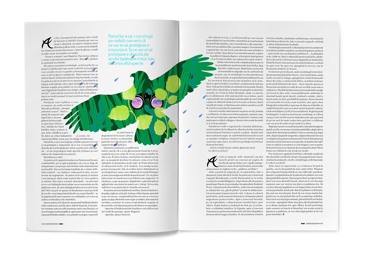 dor magazine editorial bird Handlettering Drop Cap letters Illustrative type lettering handlettered textures lines