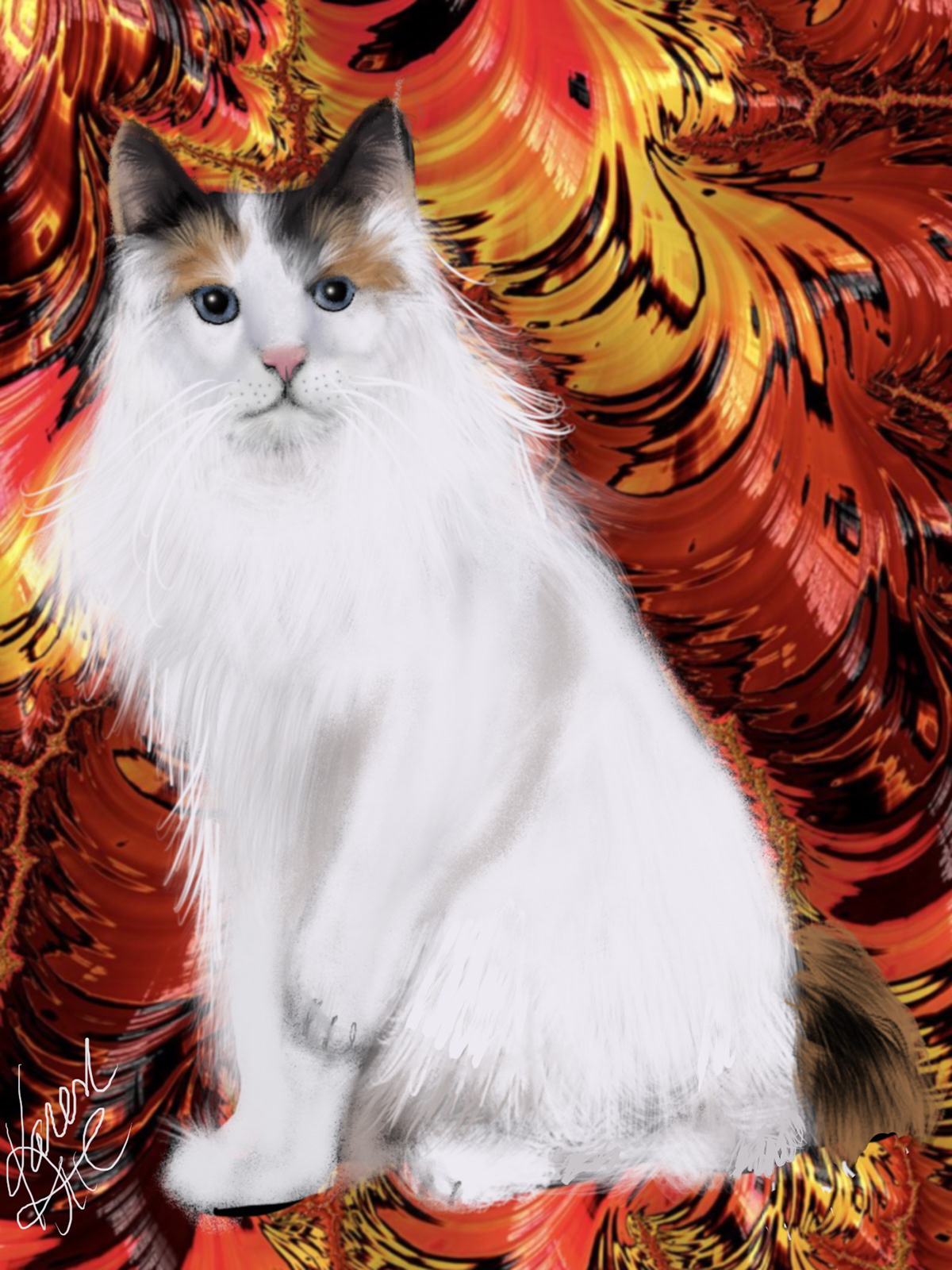 digital painting illustrations animals feline cats Japanese Bobtail